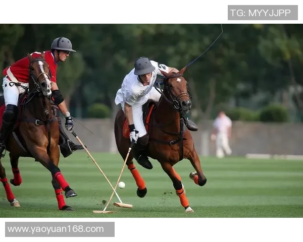 阿根廷足球巨星艾尔特加的崛起之路与国际赛场表现分析